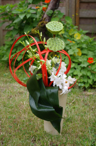 Aspidistra en mouvement
