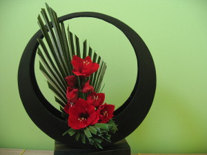 Rouge amaryllis dans la lune Sogetsu