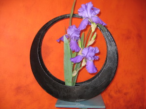 Iris du Samouraï Sogetsu